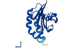 AlphaFold protein structure predicition of Mouse Recombinant Lamtor3 Protein, UniprotID O88653