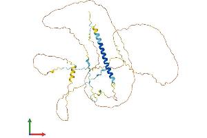 AlphaFold protein structure predicition of Human Recombinant AKAP5 Protein, UniprotID P24588 (AKAP5 Protein (AA 1-427) (His tag))