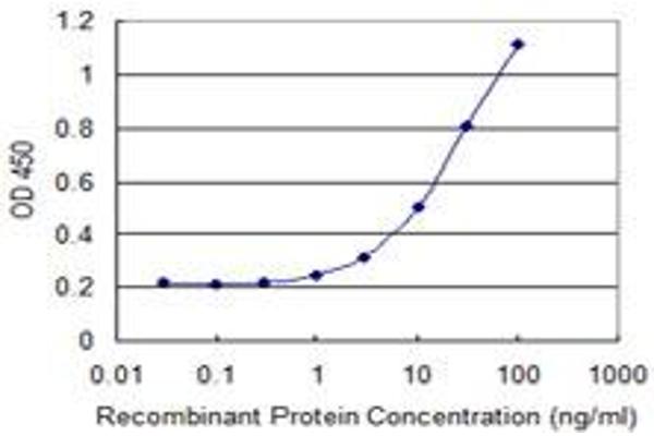C7orf10 antibody  (AA 335-434)