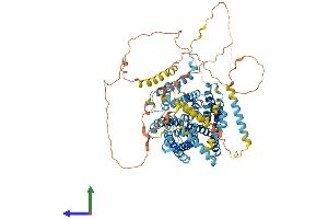 AlphaFold protein structure predicition of Human Recombinant SLC9A1 Protein, UniprotID P19634