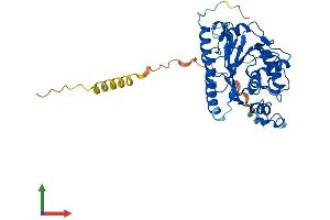 AlphaFold protein structure predicition of Human Recombinant B3GNT3 Protein, UniprotID Q9Y2A9