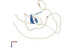 Nanog Protein (AA 1-305) (His tag)
