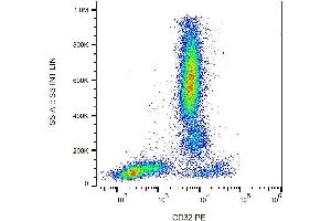 Surface staining of human peripheral blood with anti-human CD32 (3D3) PE. (Fc gamma RII (CD32) antibody (PE))