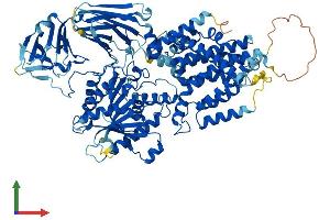 AlphaFold protein structure predicition of Human Recombinant PGAP1 Protein, UniprotID Q75T13