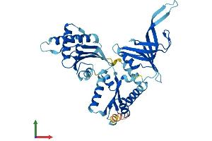 Protein Structure (PS) image for Pelota Homolog (PELO) (AA 1-385) protein (His tag) (ABIN7550678)