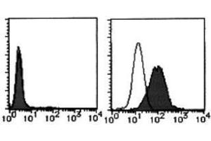 Flow Cytometry (FACS) image for anti-Tumor Necrosis Factor (Ligand) Superfamily, Member 13b (TNFSF13B) antibody (FITC) (ABIN2853607) (BAFF antibody  (FITC))