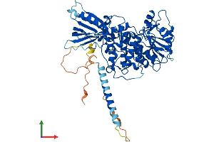 AlphaFold protein structure predicition of Mouse Recombinant Mtm1 Protein, UniprotID Q9Z2C5 (MTM1 Protein (AA 1-603) (His tag))