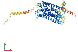 AlphaFold protein structure predicition of Human Recombinant CXCR5 Protein, UniprotID P32302 (CXCR5 Protein (AA 1-372) (His tag))