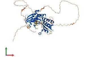 AlphaFold protein structure predicition of Mouse Recombinant Pip5k1b Protein, UniprotID P70181 (PIP5K1B Protein (AA 1-539) (His tag))