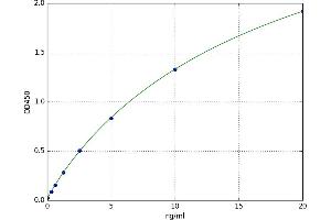 Mitogen-Activated Protein Kinase Kinase Kinase 5 (MAP3K5) ELISA Kit