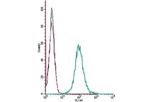 Cell surface detection of Angiotensin II receptor type-2 by indirect flow cytometry in live intact mouse J774 macrophage cells: (black line) Cells. (Angiotensin II Type 2 Receptor antibody  (Extracellular, N-Term))
