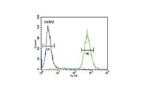 GDNF Antibody (N-term) (ABIN652624 and ABIN2842416) flow cytometric analysis of 293 cells (right histogram) compared to a negative control cell (left histogram).
