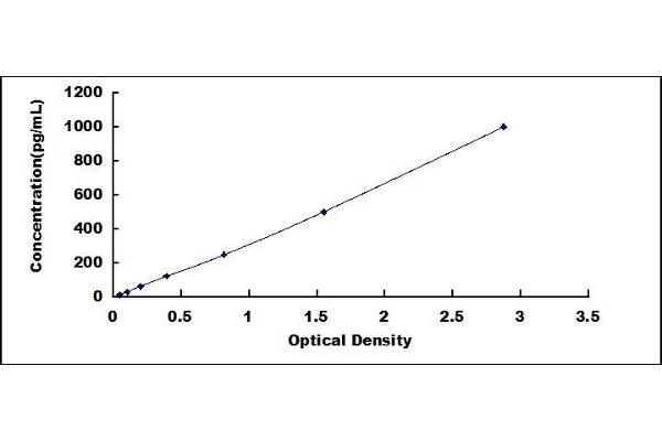 CDNF ELISA Kit