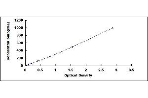 Typical standard curve (CDNF ELISA Kit)