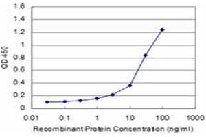 Detection limit for recombinant GST tagged FUT7 is approximately 0. (FUT7 antibody  (AA 262-342))