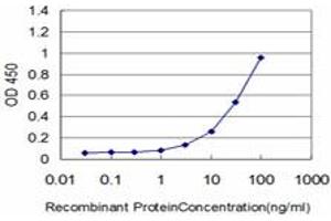 Detection limit for recombinant GST tagged HSPB8 is approximately 1ng/ml as a capture antibody. (HSPB8 antibody  (AA 97-196))