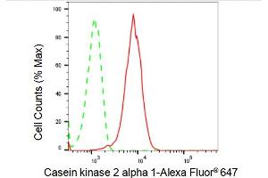 Flow cytometric analysis of Casein kinase 2 alpha 1 expression in HepG2 cells using Casein kinase 2 alpha 1 antibody (ABIN7797882), 1:2,000).