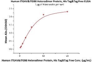 Immobilized Human Fibronectin at 10 μg/mL (100 μL/well) can bind Human ITGAV&ITGB8 Heterodimer Protein, His Tag&Tag Free (ABIN4949120,ABIN4949121) with a linear range of 0.