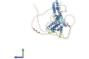 AlphaFold protein structure predicition of Mouse Recombinant Kcnq1 Protein, UniprotID P97414