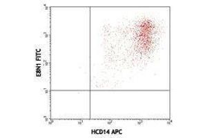 Flow Cytometry (FACS) image for anti-Interleukin 8 (IL8) antibody (FITC) (ABIN2661951) (IL-8 antibody  (FITC))