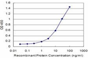 ELISA image for anti-V-Akt Murine Thymoma Viral Oncogene Homolog 2 (AKT2) (AA 100-189) antibody (ABIN599349) (AKT2 antibody  (AA 100-189))