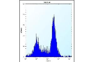 anti-Stromal Cell Derived Factor 2-Like 1 (SDF2L1) (AA 160-189), (C-Term) antibody