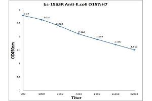Antigen: 0. (E. coli O157:H7 antibody)