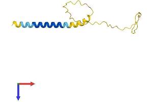 AlphaFold protein structure predicition of Human Recombinant HRCT1 Protein, UniprotID Q6UXD1 (HRCT1 Protein (AA 1-115) (His tag))