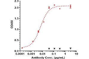 Immobilized human TREM1 His at 2 μg/mL can bind Anti-TREM1 / CD354 Reference Antibody (PY159), EC50=0. (Recombinant TREM1 antibody)