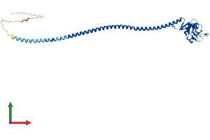 AlphaFold protein structure predicition of Human Recombinant CD207 Protein, UniprotID Q9UJ71