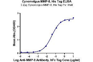 Immobilized Cynomolgus MMP-8, His Tag at 2 μg/mL (100 μL/well) on the plate.
