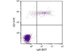 Human peripheral blood lymphocytes were stained with Mouse Anti-Human IgM-BIOT. (Mouse anti-Human IgM Antibody (Biotin))