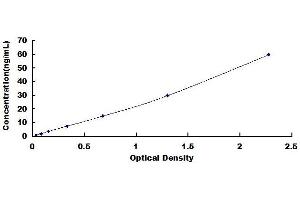 Typical standard curve (Ferritin ELISA Kit)