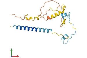 AlphaFold protein structure predicition of Mouse Recombinant Fancd2os Protein, UniprotID Q9D4K4