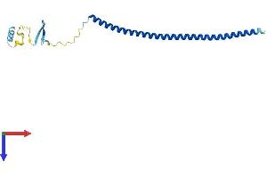Protein Structure (PS) image for Stathmin-Like 2 (STMN2) (AA 1-179) protein (His tag) (ABIN7544047)