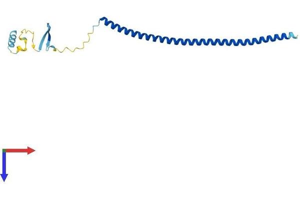 STMN2 Protein (AA 1-179) (His tag)