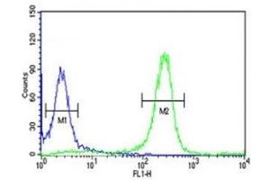 Flow Cytometry (FACS) image for anti-FYN Oncogene Related To SRC, FGR, YES (FYN) (AA 1-30) antibody (ABIN3031010)