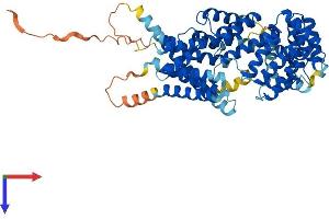 AlphaFold protein structure predicition of Human Recombinant TTC39C Protein, UniprotID Q8N584 (TTC39C Protein (AA 1-583) (His tag))