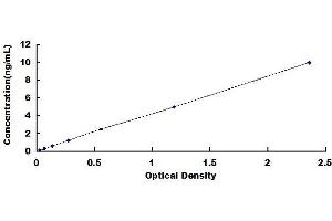 Typical standard curve (LOR ELISA Kit)