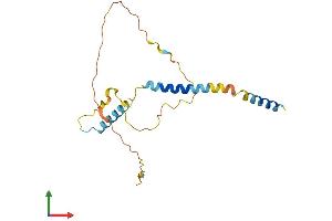 AlphaFold protein structure predicition of Mouse Recombinant Bcl2l11 Protein, UniprotID O54918 (BIM Protein (AA 1-196) (His tag))