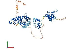 Protein Structure (PS) image for Transcription Factor CP2-Like 1 (TFCP2L1) (AA 1-479) protein (His tag) (ABIN7557247)