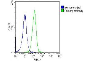 Overlay histogram showing Hela cells stained with (ABIN6242521 and ABIN6578665) (green line). (PFN1 antibody  (AA 108-140))