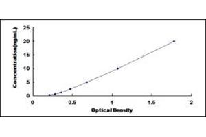 Typical standard curve (STX2 ELISA Kit)