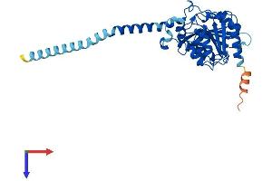 AlphaFold protein structure predicition of Human Recombinant ABHD13 Protein, UniprotID Q7L211 (ABHD13 Protein (AA 1-337) (His tag))