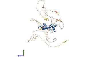 AlphaFold protein structure predicition of Mouse Recombinant Pax1 Protein, UniprotID P09084 (PAX1 Protein (AA 1-446) (His tag))