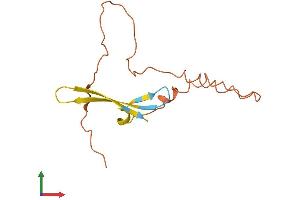 Protein Structure (PS) image for Zinc Finger Protein 815, Pseudogene (ZNF815P) (AA 1-130) protein (His tag) (ABIN7545404)
