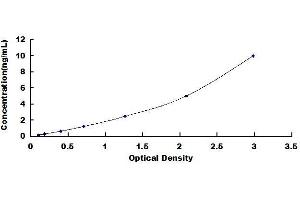 Typical standard curve (FOS ELISA Kit)