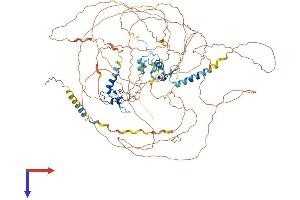 AlphaFold protein structure predicition of Human Recombinant ATXN7 Protein, UniprotID O15265 (ATXN7 Protein (AA 1-892) (His tag))