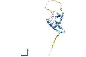 AlphaFold protein structure predicition of Human Recombinant KCNK4 Protein, UniprotID Q9NYG8 (KCNK4 Protein (AA 1-393) (His tag))