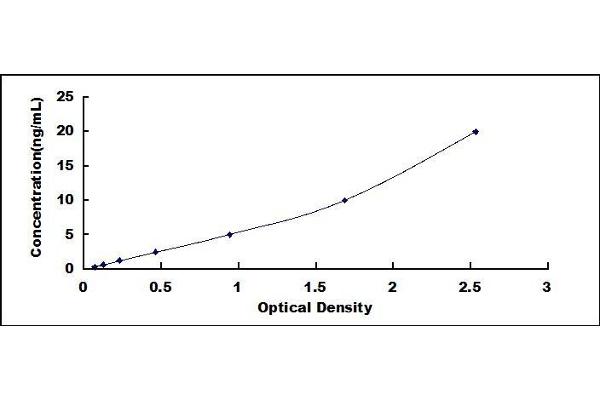 PRSS23 ELISA Kit